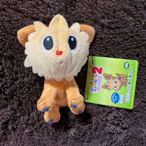 MYポケモンコレクション ぬいぐるみ2 NO.010 ヨーテリー