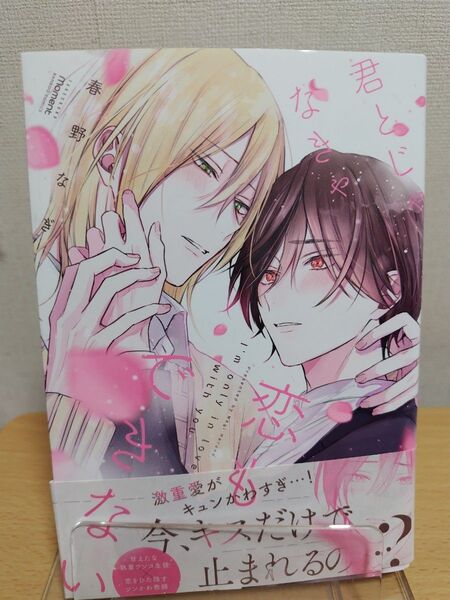 BL 君とじゃなきゃ恋もできない 春野なぎ 【同梱値引きok】教師、学生、幼なじみ