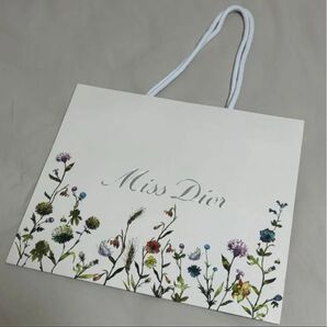 Dior ディオール 紙袋 ショッパー