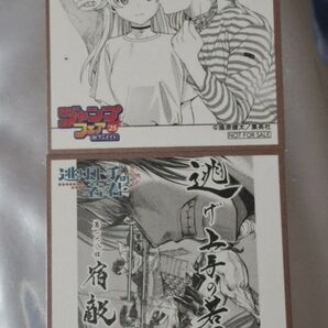 ジャンプフェア 色紙