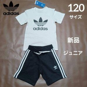 新品 アディダスオリジナルス キッズTシャツ&ショートパンツセット 120サイズ ジュニア