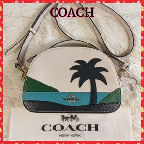 【COACH】コーチ ショルダーバッグ バッグ ミニショルダー 斜め掛け 美品