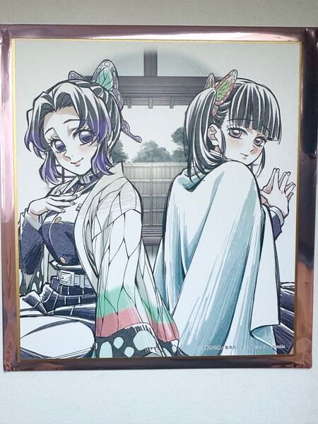 鬼滅の刃 胡蝶しのぶ 栗花落カナヲ 柱稽古編 ミニ色紙