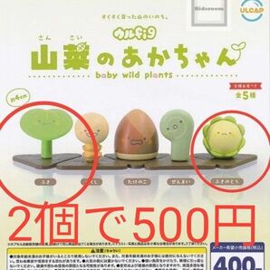 ★激かわ(*^^*)【ふきのとうとふきの2個セット】ウルフィグ 山菜のあかちゃん