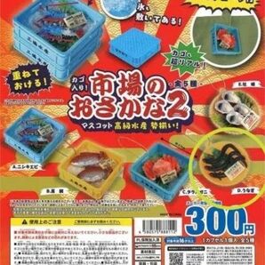 ★カゴ入り!市場のおさかなマスコット2~高級水産勢揃い!