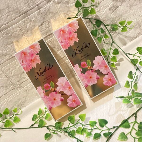 2箱セット koyoup コーヨーアップ プレミアムエッセンシャルミスト 120ml 2本入り