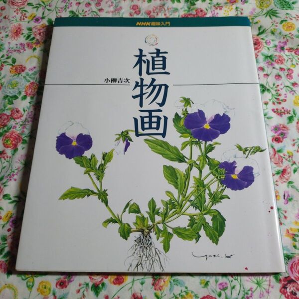 NHK趣味入門 植物画 小林吉次