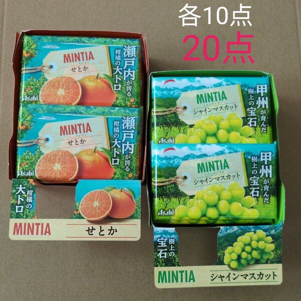 ミンティア MINTIA シャインマスカット せとか 各10点 20点セット