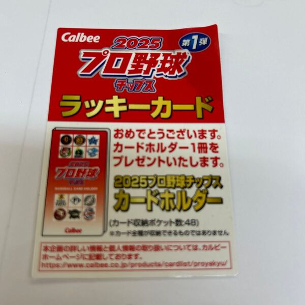 ラッキーカード プロ野球カード カルビープロ野球チップス