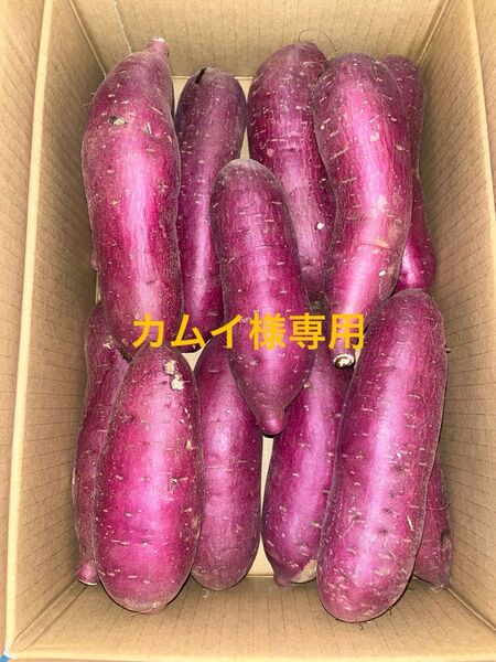 千葉県産紅はるかL 15㎏