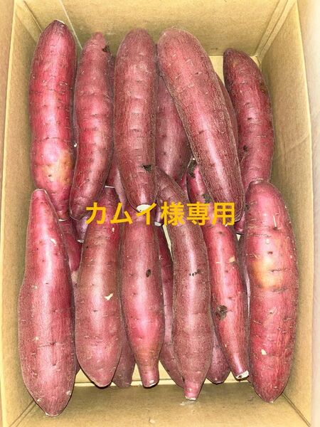 千葉県産紅はるかM 15㎏