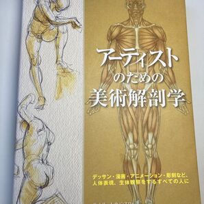 アーティストのための美術解剖学