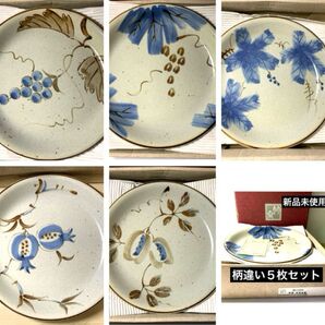 林斎 龍峰窯 味覚 多用皿揃 柄違い5枚セット 三洋陶器 中皿 カレー皿パスタ皿