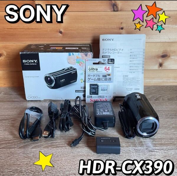 【付属品多数】ソニー デジタルHDビデオカメラレコーダー HDR-CX390