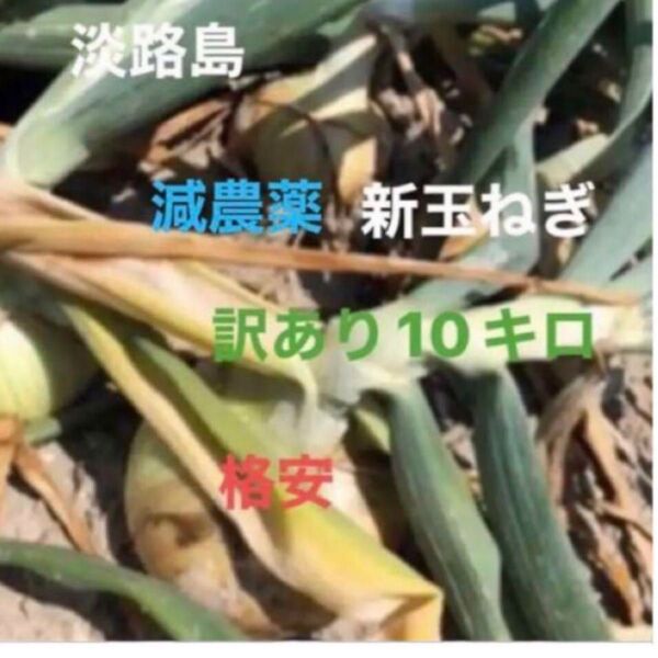 玉ねぎ 格安 訳あり 淡路島産 たまねぎ 10キロ減農薬