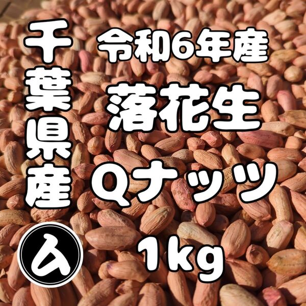 千葉県産 県内発送 Qナッツ 1kg 手むき 乾燥生落花生