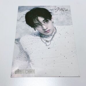 Stray Kids バンチャン フライヤー