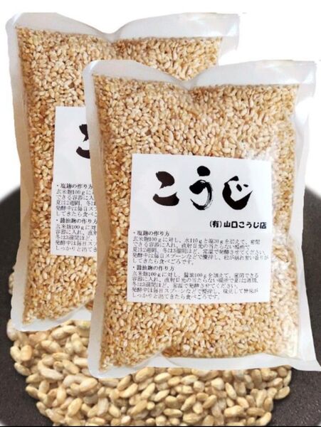 乾燥玄米麹 500g×2袋【明治6年創業】 山口こうじ店 無添加 国産