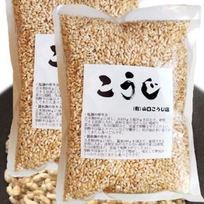 乾燥玄米麹 500g×2袋【明治6年創業】 山口こうじ店 無添加 国産
