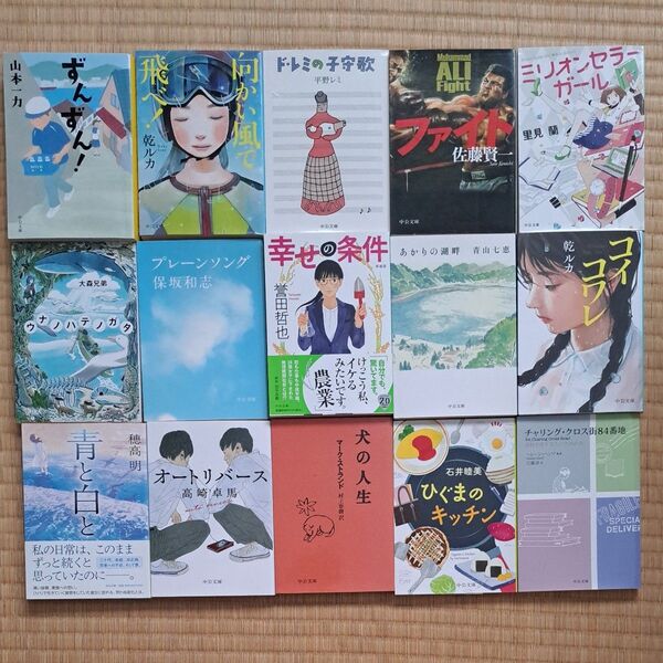 中公文庫 1冊500円2冊900円3冊1300円4冊1700円