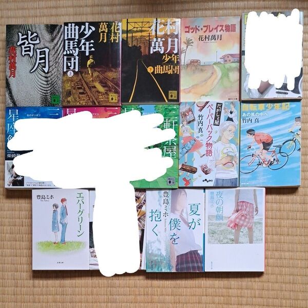 花村万月 竹内真 豊島ミホ 1冊500円2冊900円3冊1300円4冊1700円