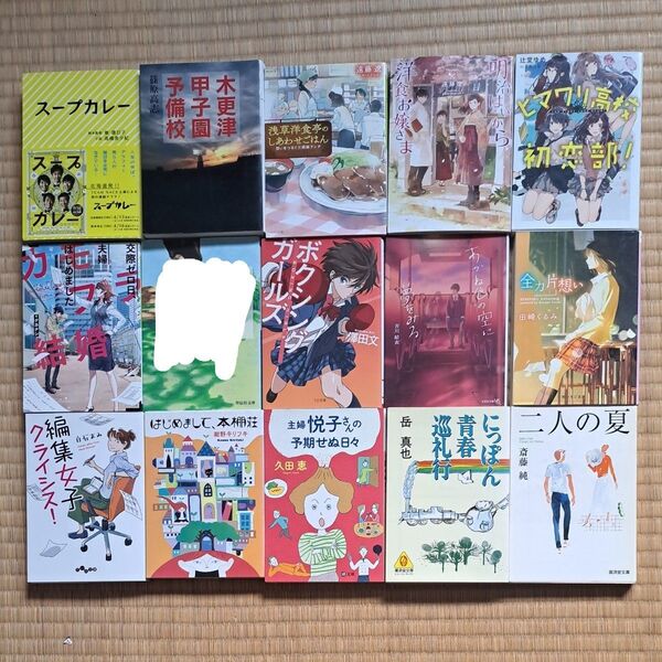 文庫本 1冊500円2冊900円3冊1300円4冊1700円