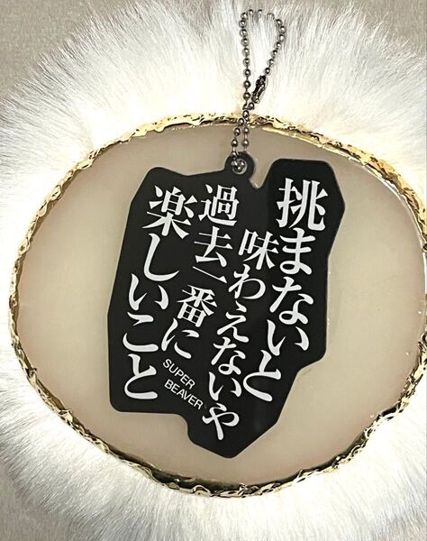 新品 SUPER BEAVER あなたと生きることばたち アクリルキーホルダー『突破口』未使用品
