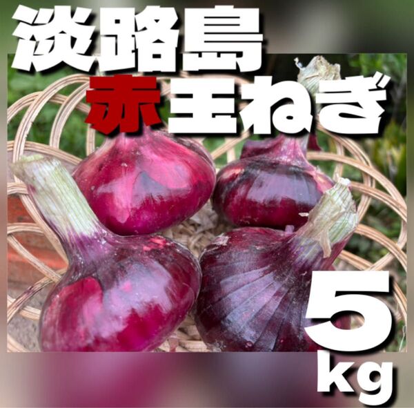 【秀品】淡路島赤玉ねぎ 5kg