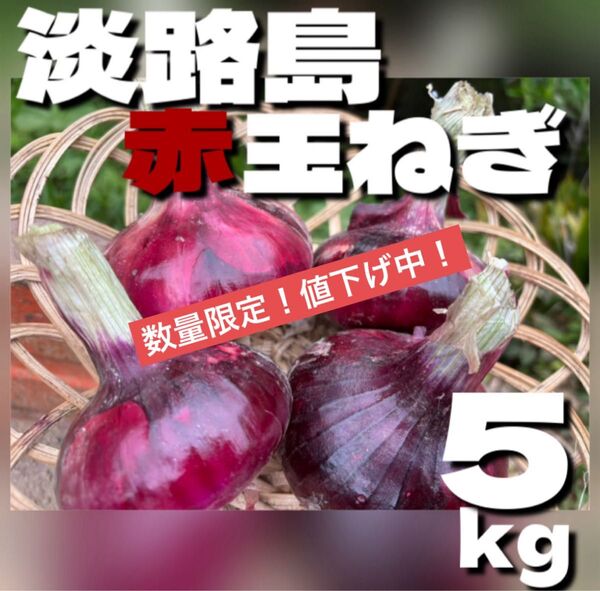 【秀品】淡路島赤玉ねぎ 5kg 淡路島産