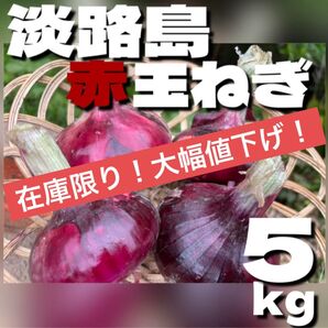 【秀品】淡路島赤玉ねぎ 5kg 淡路島産