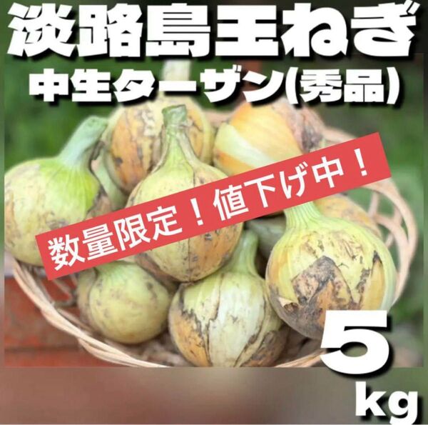 【秀品】淡路島玉ねぎ 中生ターザン M5kg 農家直送 淡路島たまねぎ 産地直送 秀品