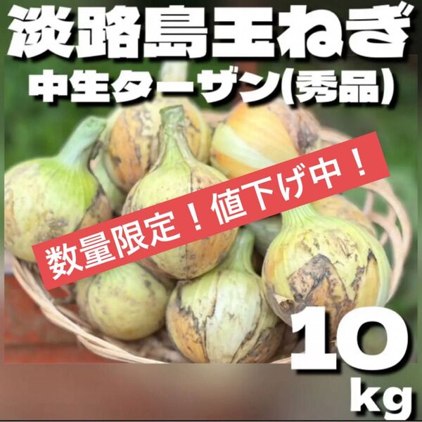 【秀品】淡路島玉ねぎ 中生ターザン M5kg 淡路島産