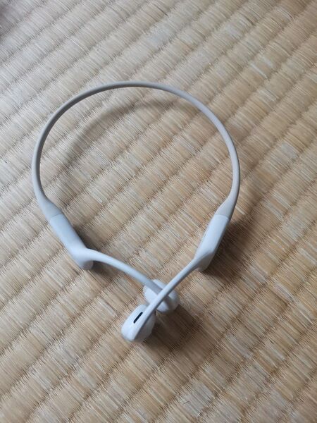 OpenRun Pro by Shokz 骨伝導イヤホン ワイヤレス ショックス S810