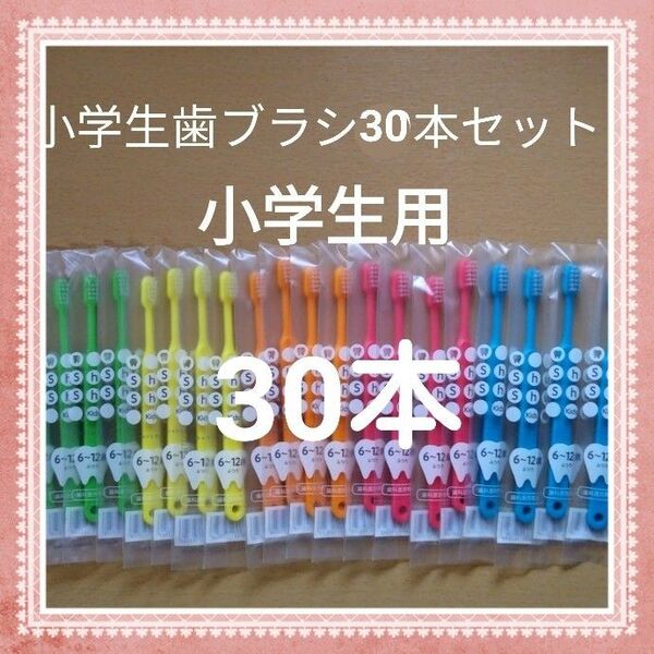 【913】歯科専売 小学生歯ブラシ ふつう30本
