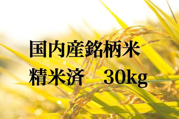 令和6年産 銘柄米 精米済30kg