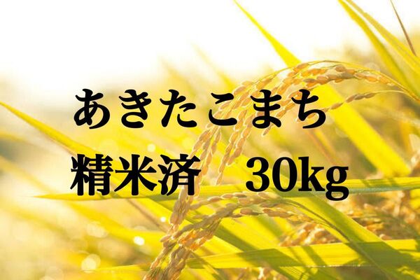 令和6年産 秋田県産あきたこまち 精米済30kg