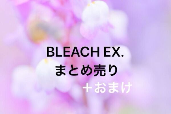 BLEACH EX. FINAL 20周年記念原画展 複製原稿 日番谷冬獅郎 A3クリアファイル おまけ
