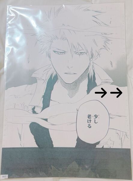 BLEACH EX. FINAL 20周年記念原画展 複製原稿 日番谷冬獅郎 A3クリアファイル おまけ
