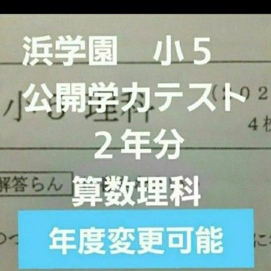 浜学園 小5 公開学力テスト 2年分 算数理科 2024年度 2023年度 年度変更可能