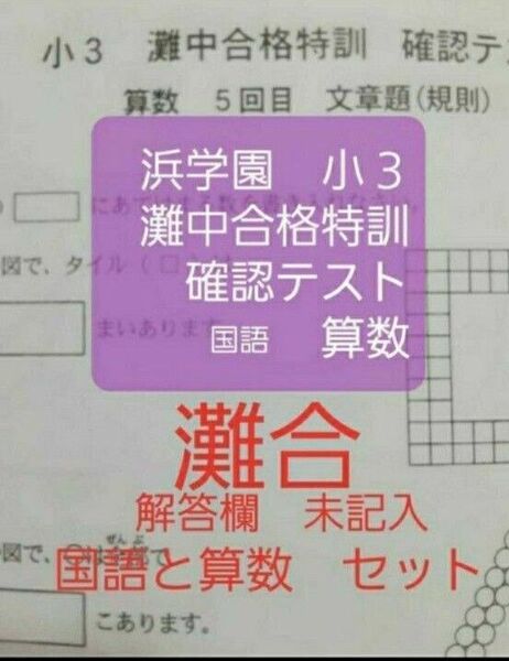 浜学園 小3 灘中合格特訓 算数 確認テスト 国語算数 一年分