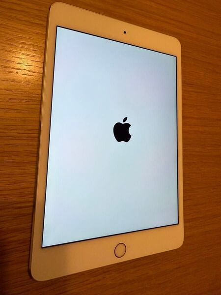 iPad mini4 バッテリー99%!! 充電回数117回 第4世代 軽量299g 小型 ゴールド Apple【売り切り】