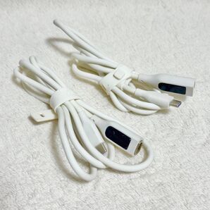CIO マグネットシリコンケーブル 液晶付きモデル 100W対応 Type-C 1m 2本セット