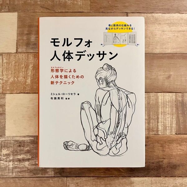 モルフォ人体デッサン 形態学による人体を描くための新テクニック