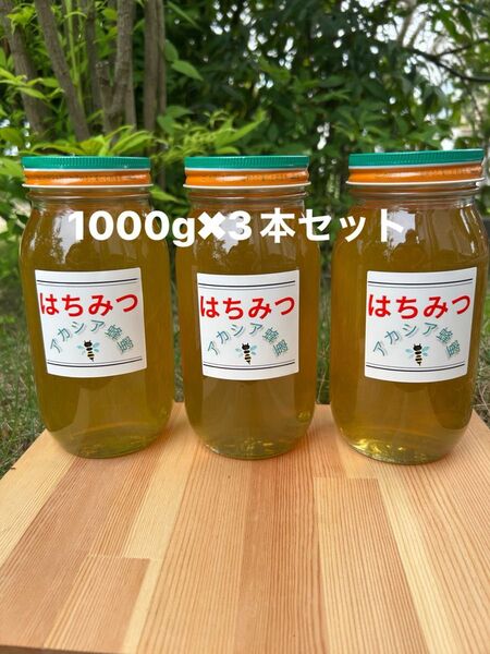国産 純粋ハチミツ アカシアはちみつ 1000g×3(ビン3本セット)☆抗生物質不使用の安心・安全な本物のハチミツ