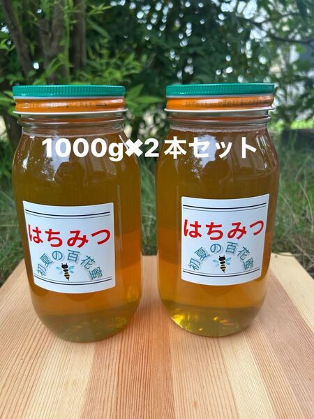 国産 純粋ハチミツ 初夏の百花蜜 1000g×2(ビン2本セット)☆抗生物質不使用の安心・安全な本物のハチミツ