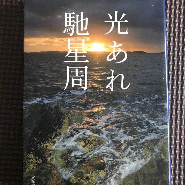 光あれ (文春文庫 は25-7) 馳星周/著