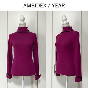 AMBIDEX/YEAR タートルネックリブニット