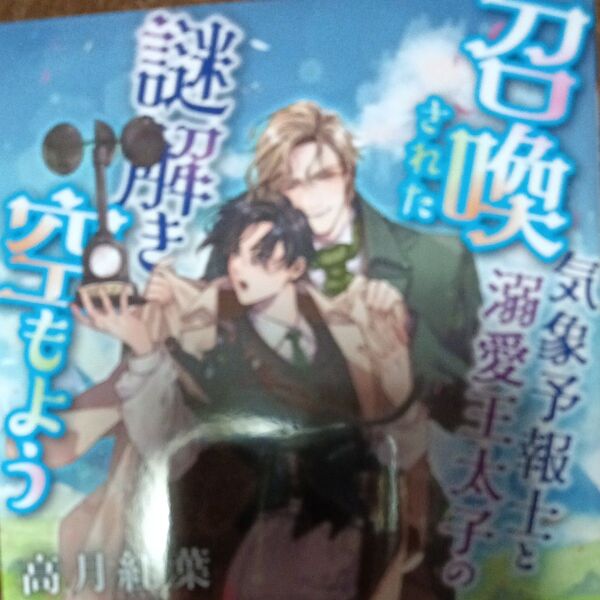 召喚された気象予報士と溺愛王太子の謎解き空もよう (ラルーナ文庫) 高月紅葉/著