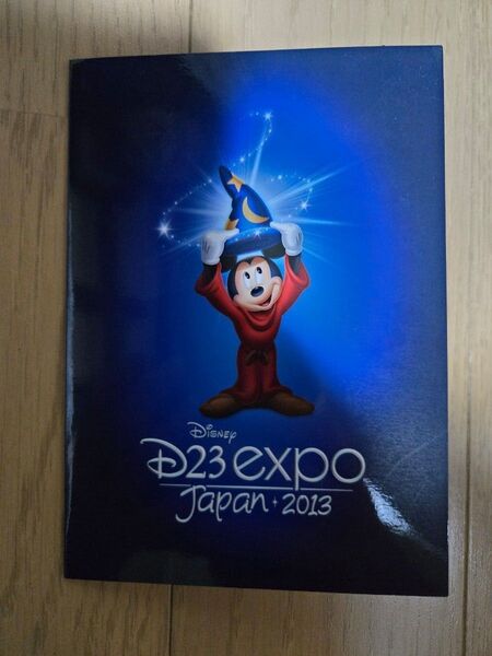 D23 EXPO リゾートラインキップ 未使用 2013年