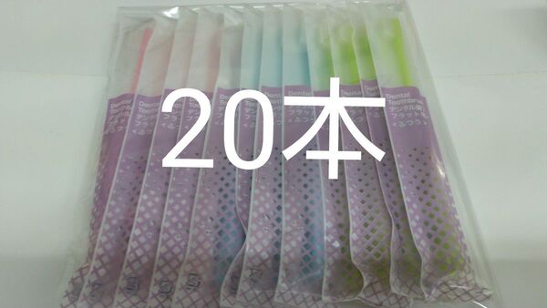 20本 歯科医院専用デンタル歯ブラシふつう☆